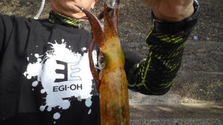 日中のエギングは❓