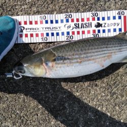 いつもの悪クセ(ToT)