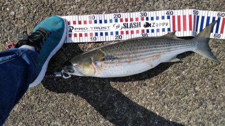 いつもの悪クセ(ToT)