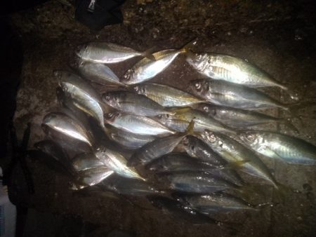 フロートゲーム