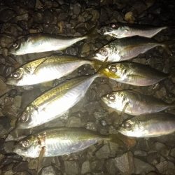 フロートゲーム