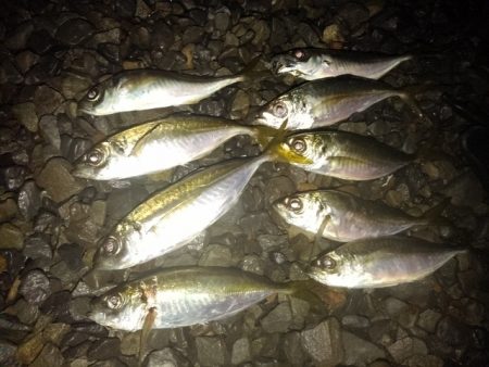 フロートゲーム