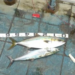 大満足！粘り勝ち！