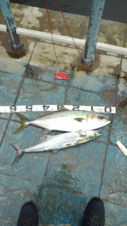 大満足！粘り勝ち！