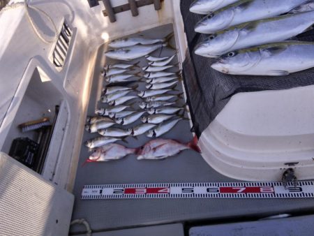 遊漁船SOUTH　10/14釣果