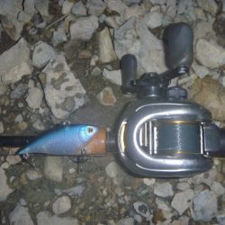 バイブレーション