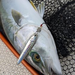 萩沖マイボート10月3日釣果！！