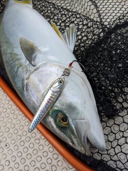 萩沖マイボート10月3日釣果！！