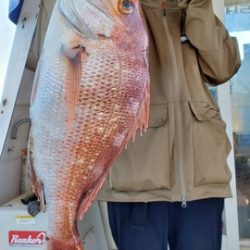 遊漁船 ニライカナイ 釣果