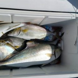 第五慶門丸 釣果