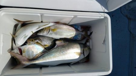 第五慶門丸 釣果