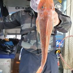 遊漁船 ニライカナイ 釣果