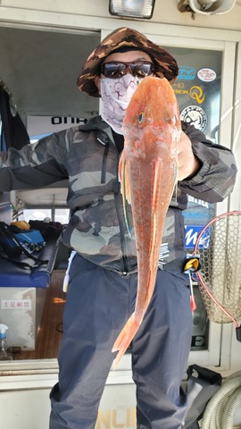 遊漁船 ニライカナイ 釣果
