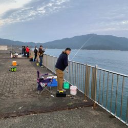 ショアジギングでサゴシとエギングでアオリイカ