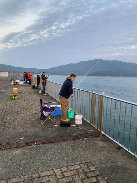 ショアジギングでサゴシとエギングでアオリイカ