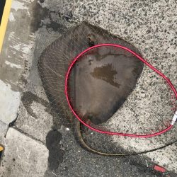 エレベーターで呑ませ