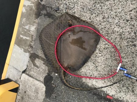 エレベーターで呑ませ