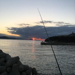 淡路島釣行
