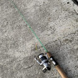 メバリング&LSJ！