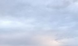 タチウオ空振りでアジ探し