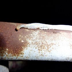 貸し切りでした