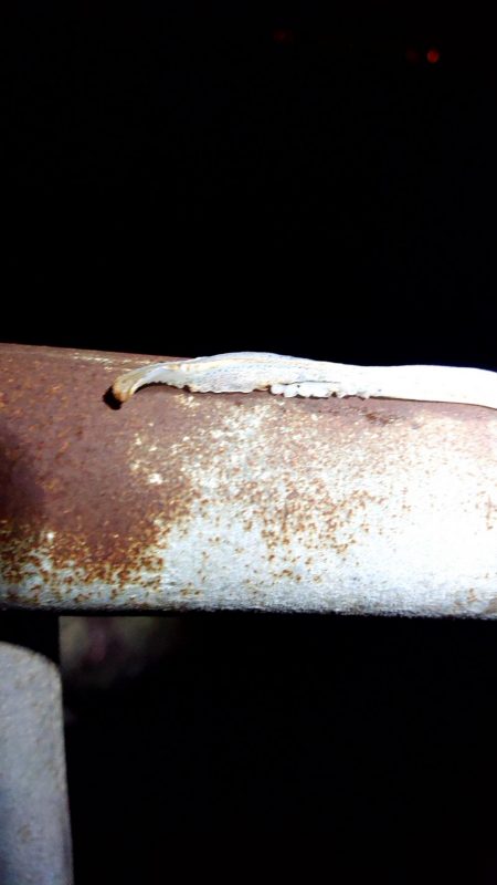 貸し切りでした