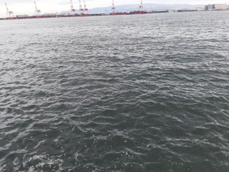 やっとタチウオ