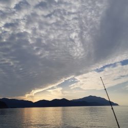 イカの気持ち２