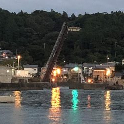 可動橋を眺めながら