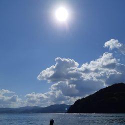 イカの気持ち４