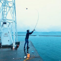 おっきいアジ釣れたよー
