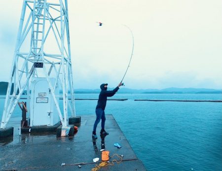 おっきいアジ釣れたよー