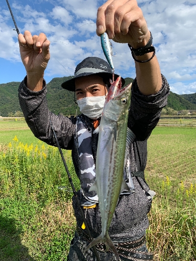 其の魚、狂暴につき。