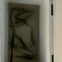 秋めいて参りましたなぁ～