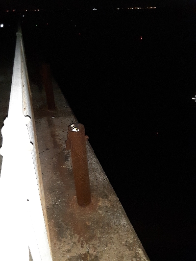 タチウオどこに···?