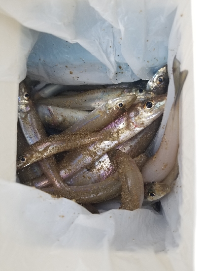 今日は、遅い出発。