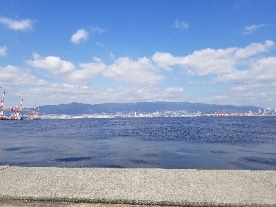 神戸沖堤防午前の部