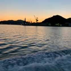 舞鶴沖ジギング