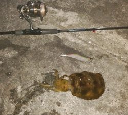 仕事が終わってからの