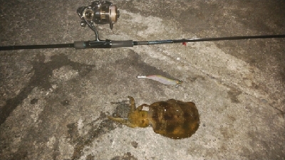 仕事が終わってからの