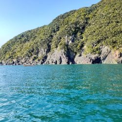 秋アオリイカ調査隊