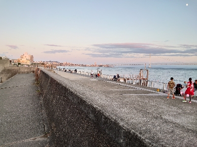 良型アオリイカとタコ