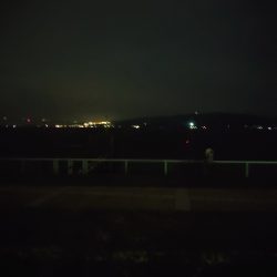 ちょいシブめのエギング