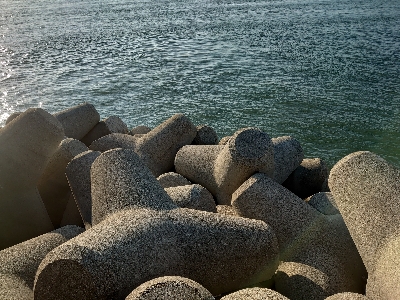 ハマチラッシュ