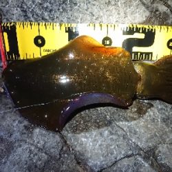 朝マズメ狙いエギング