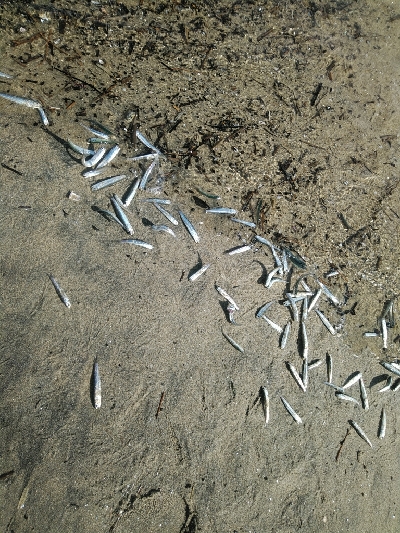 フラット狙うも不発。キスでボウズ逃れ