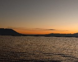 まだまだ居ます！