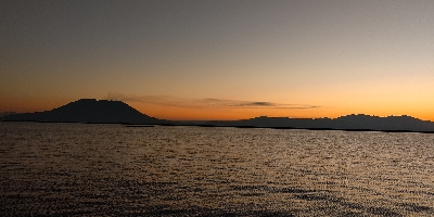 まだまだ居ます！