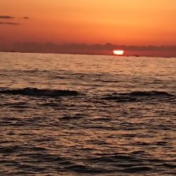 ナナマル座布団