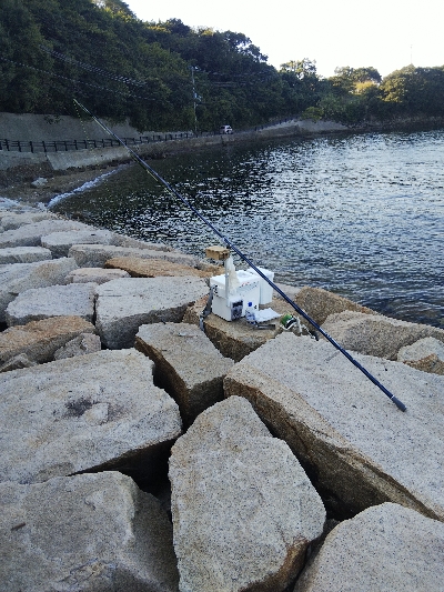 室津のキス釣り